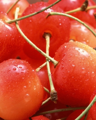 Cherries - Obrázkek zdarma pro iPhone 5