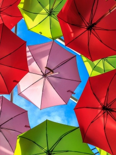 Das Colorful Umbrellas Wallpaper 240x320