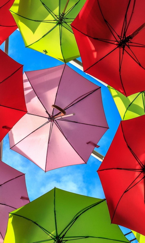 Обои Colorful Umbrellas 480x800
