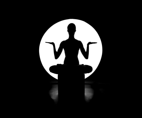 Moonlight Yoga wallpaper 480x400