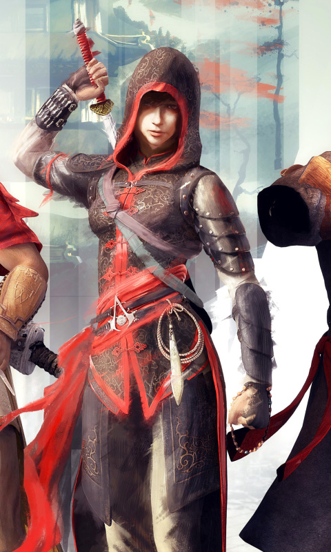 Обои Assassins Creed Chronicles India 480x800