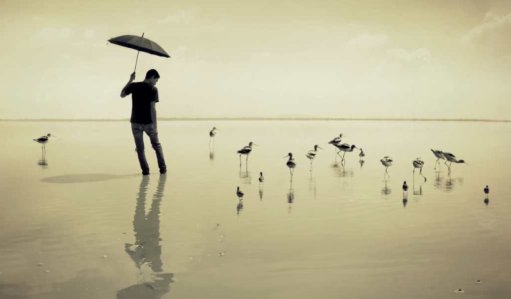 Guy With Umbrella And Bird Lake wallpaper 1024x600