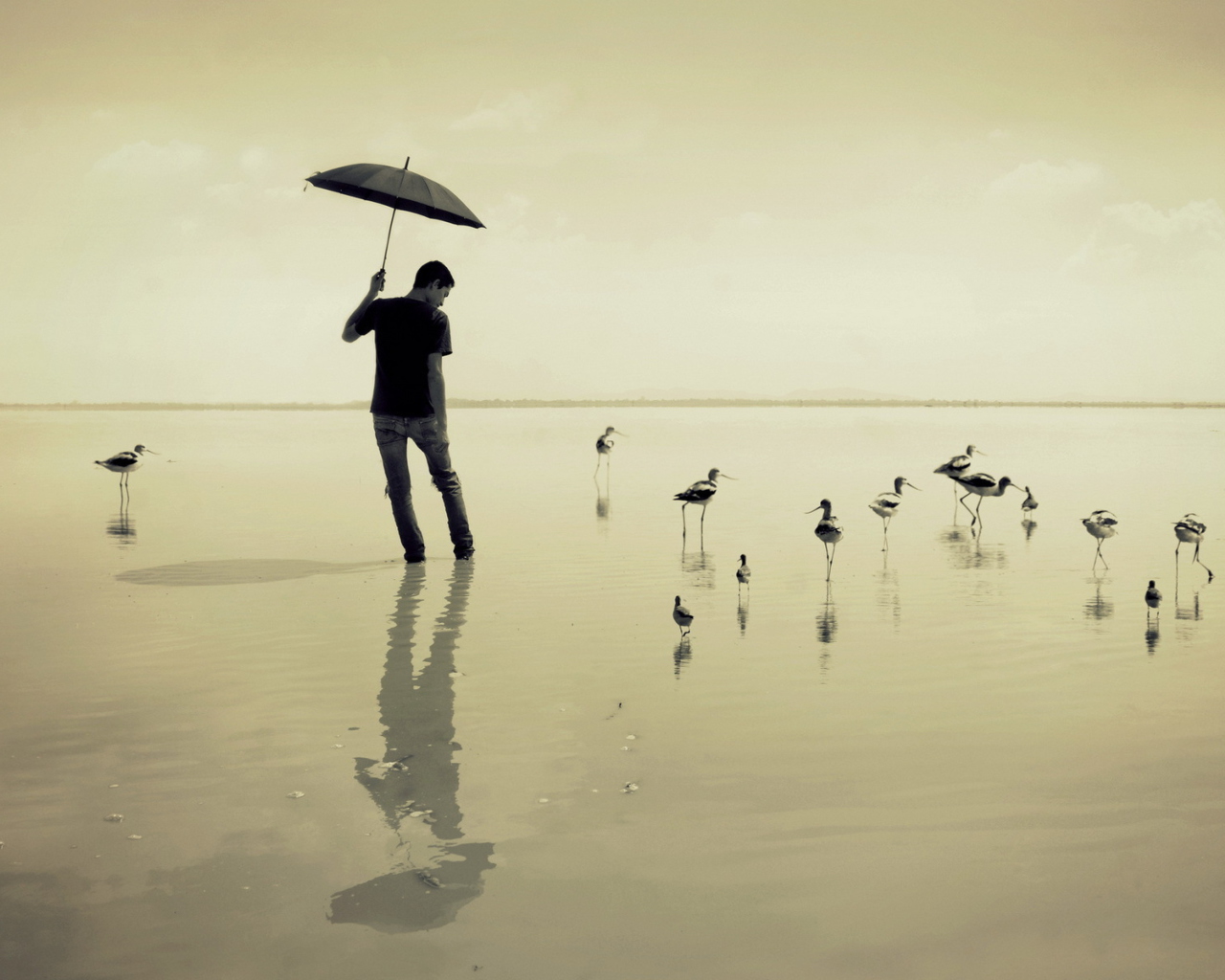 Guy With Umbrella And Bird Lake screenshot #1 1280x1024