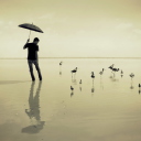 Sfondi Guy With Umbrella And Bird Lake 128x128