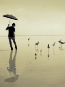 Guy With Umbrella And Bird Lake wallpaper 132x176