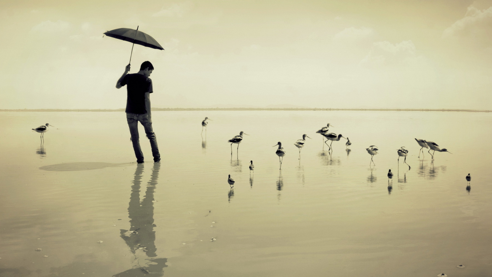 Screenshot №1 pro téma Guy With Umbrella And Bird Lake 1600x900