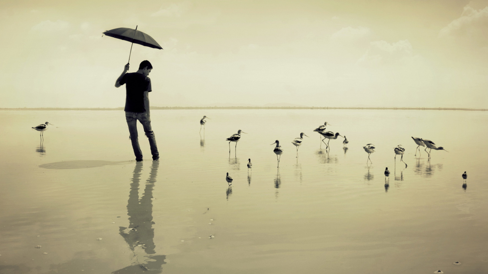 Guy With Umbrella And Bird Lake screenshot #1 1920x1080