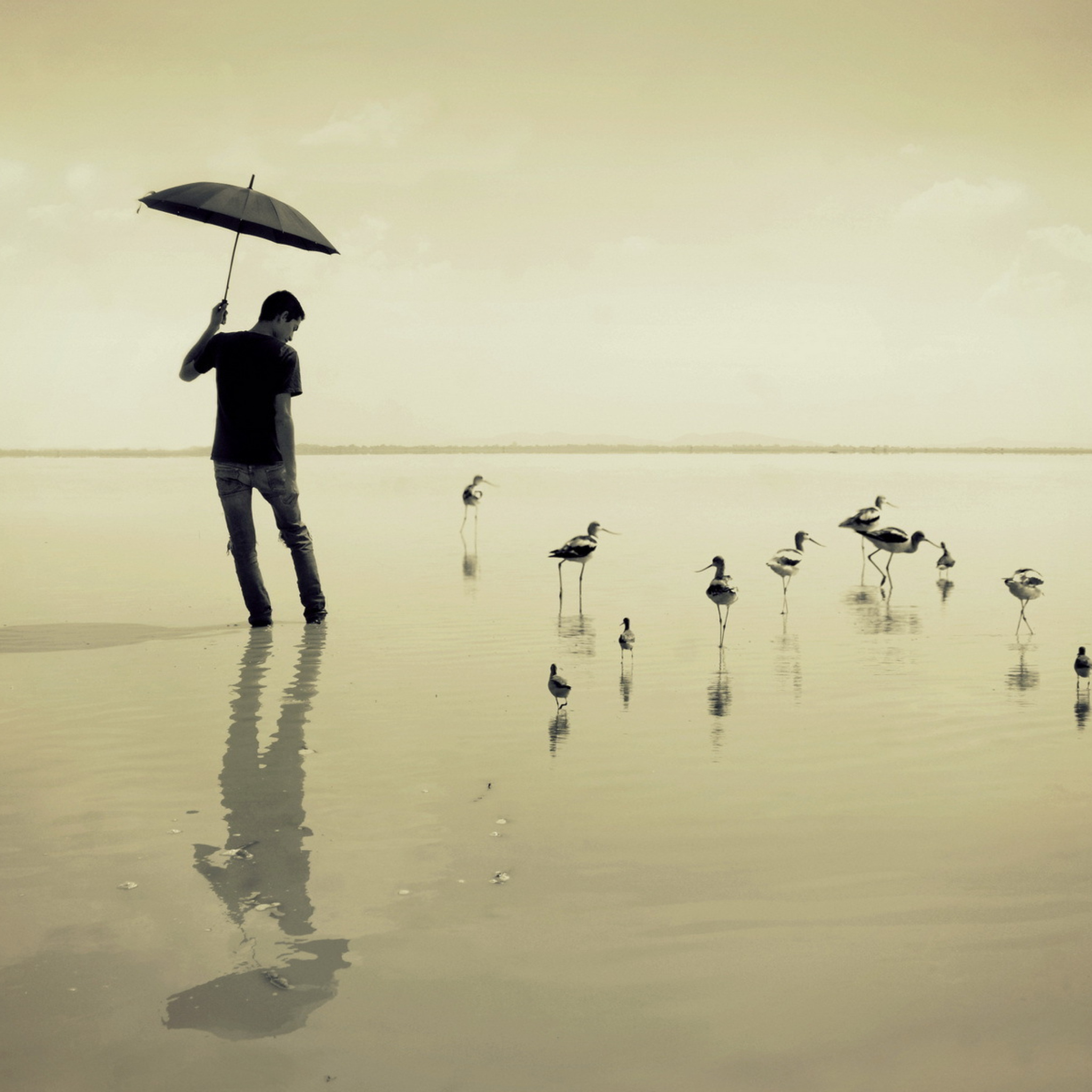 Sfondi Guy With Umbrella And Bird Lake 2048x2048
