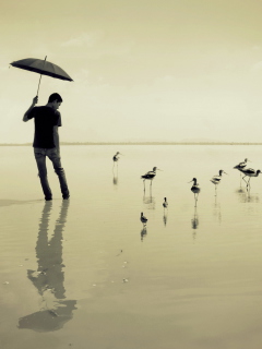 Обои Guy With Umbrella And Bird Lake 240x320