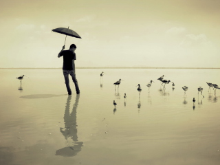 Das Guy With Umbrella And Bird Lake Wallpaper 320x240