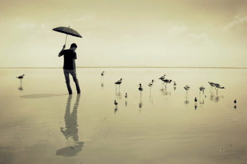 Guy With Umbrella And Bird Lake wallpaper 480x320