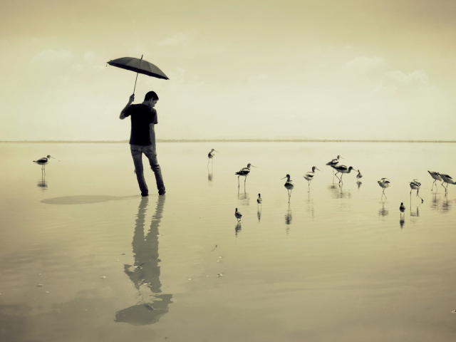 Обои Guy With Umbrella And Bird Lake 640x480