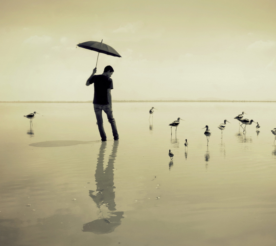 Screenshot №1 pro téma Guy With Umbrella And Bird Lake 960x854