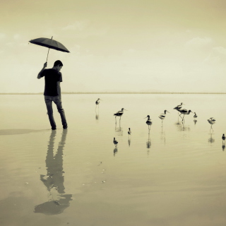 Guy With Umbrella And Bird Lake - Obrázkek zdarma pro iPad