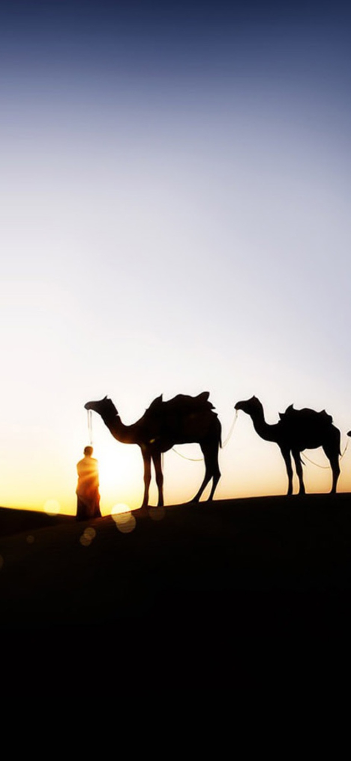 Обои Camel At Sunset 1170x2532