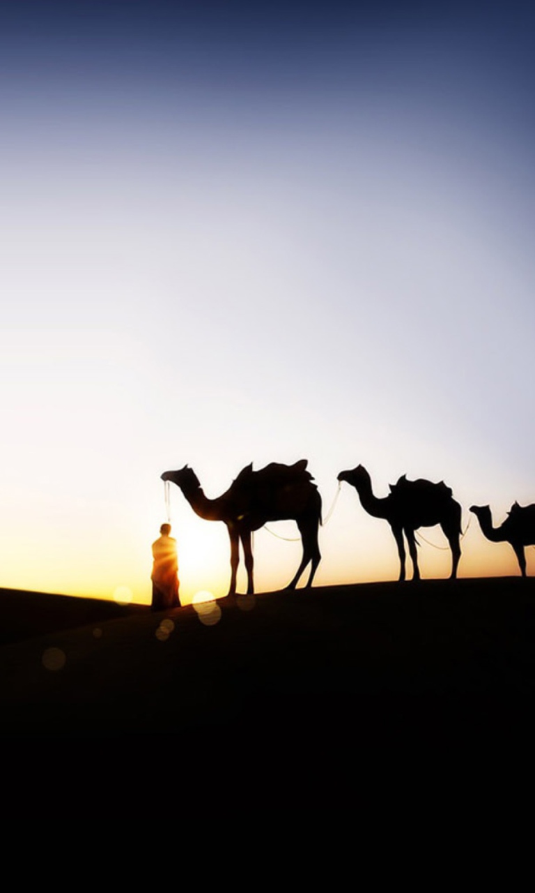 Fondo de pantalla Camel At Sunset 768x1280