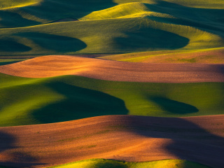 Brown and Green Hills wallpaper 320x240