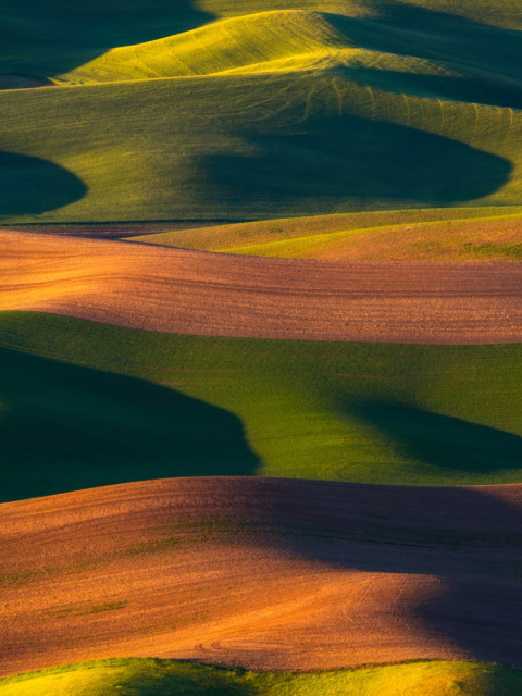 Brown and Green Hills screenshot #1 480x640