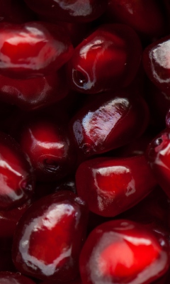 Pomegranate screenshot #1 240x400