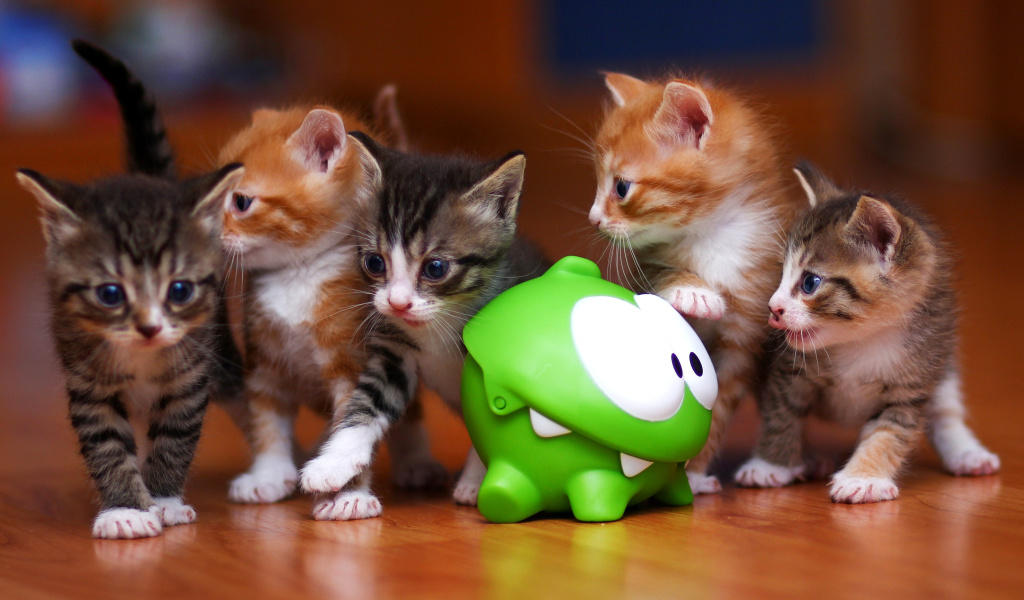Fondo de pantalla Interactive Kittens Toy 1024x600