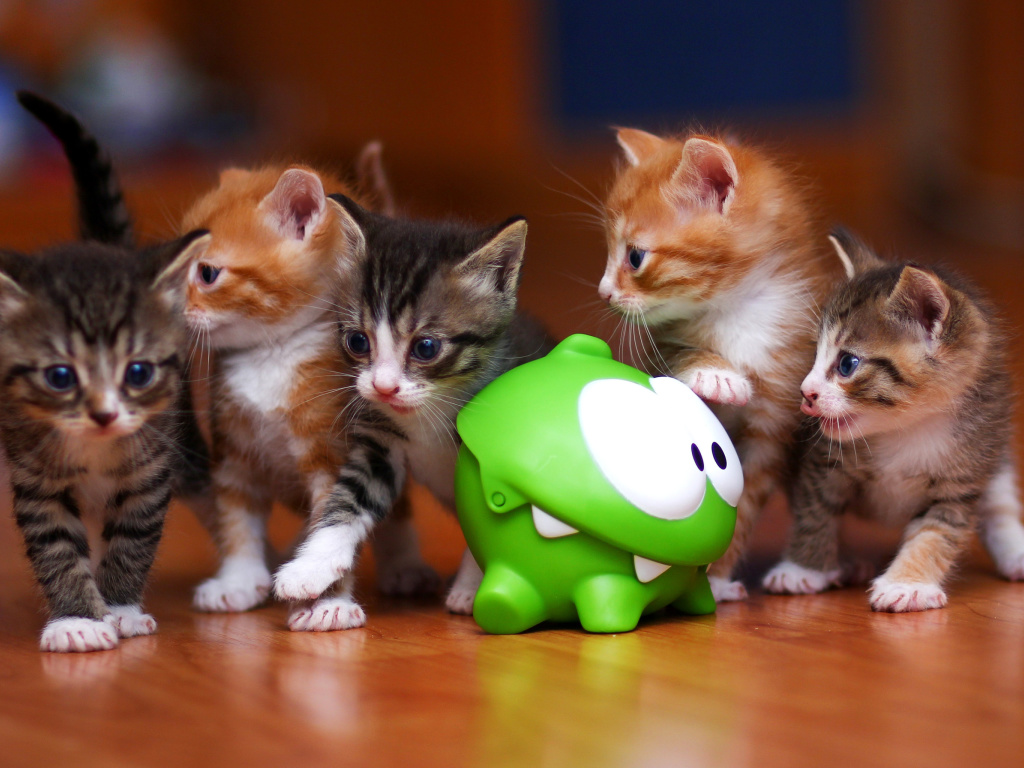 Обои Interactive Kittens Toy 1024x768