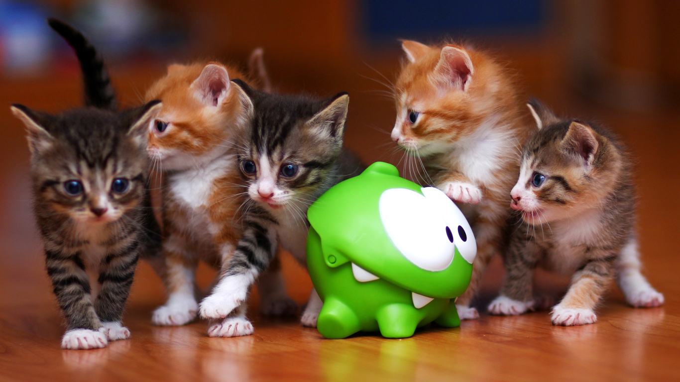 Fondo de pantalla Interactive Kittens Toy 1366x768
