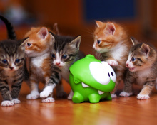 Interactive Kittens Toy wallpaper 220x176