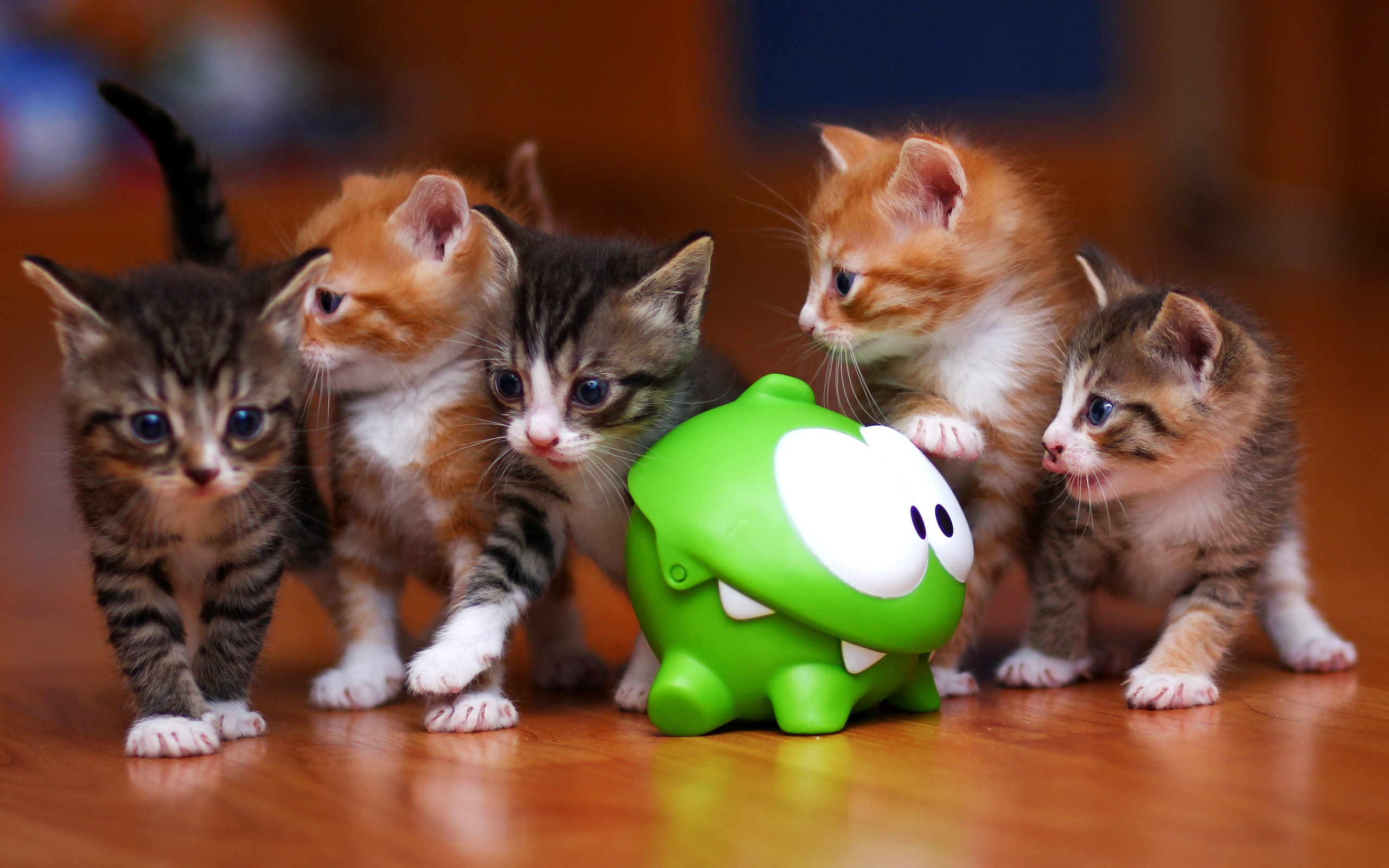 Screenshot №1 pro téma Interactive Kittens Toy 2560x1600