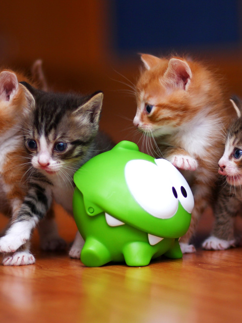 Interactive Kittens Toy screenshot #1 480x640