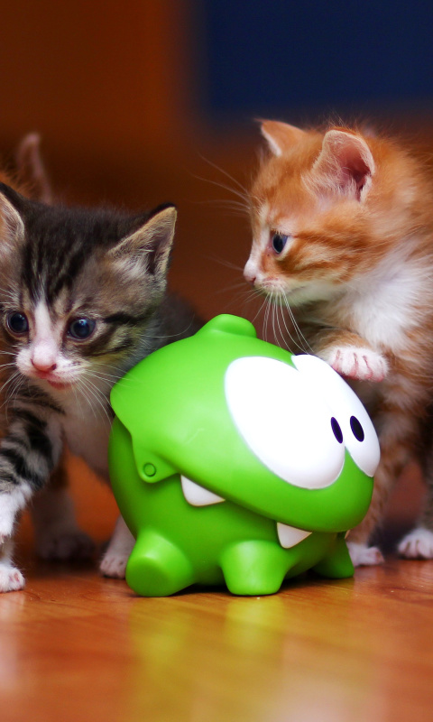Обои Interactive Kittens Toy 480x800