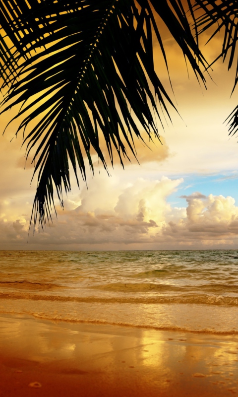 Paradise Landscape wallpaper 480x800