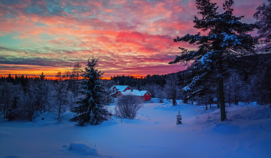 Amazing Winter Sunset Landscape wallpaper 1024x600