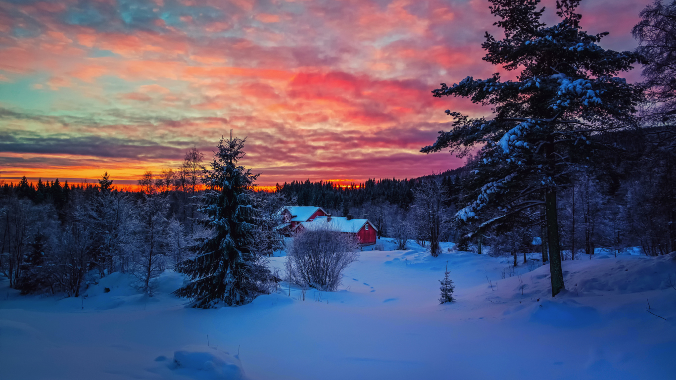 Fondo de pantalla Amazing Winter Sunset Landscape 1366x768
