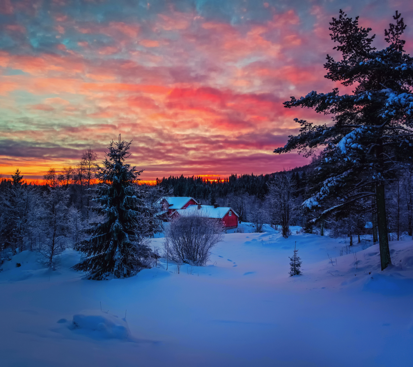 Sfondi Amazing Winter Sunset Landscape 1440x1280