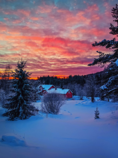 Fondo de pantalla Amazing Winter Sunset Landscape 240x320