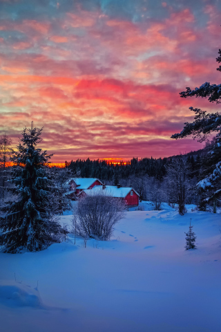 Amazing Winter Sunset Landscape wallpaper 320x480