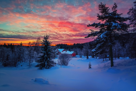 Amazing Winter Sunset Landscape wallpaper 480x320