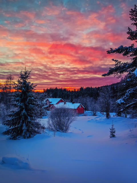 Sfondi Amazing Winter Sunset Landscape 480x640