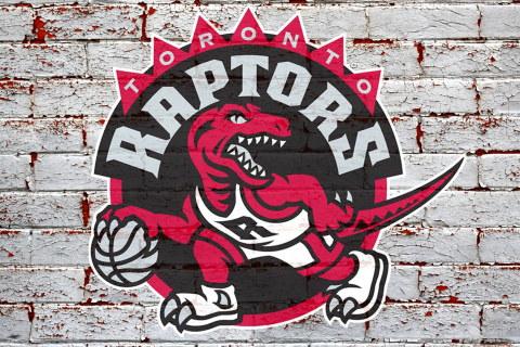 Обои Toronto Raptors Logo 480x320