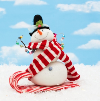 Cool Snowman - Obrázkek zdarma pro Samsung E1150