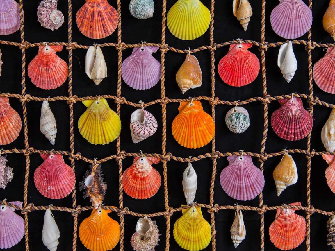 Das Seashells Wallpaper 1152x864