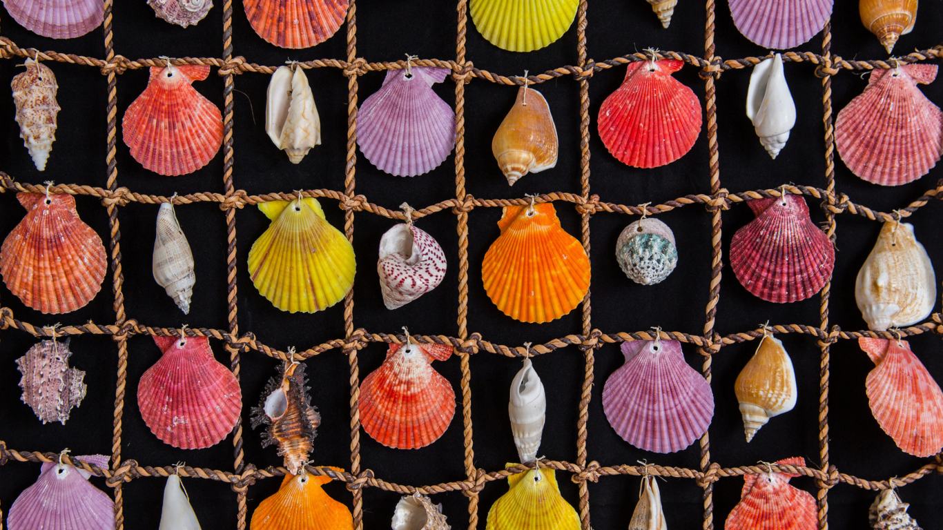 Das Seashells Wallpaper 1366x768
