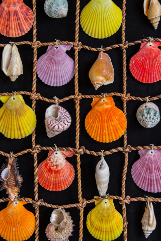 Das Seashells Wallpaper 320x480