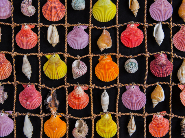 Seashells wallpaper 640x480
