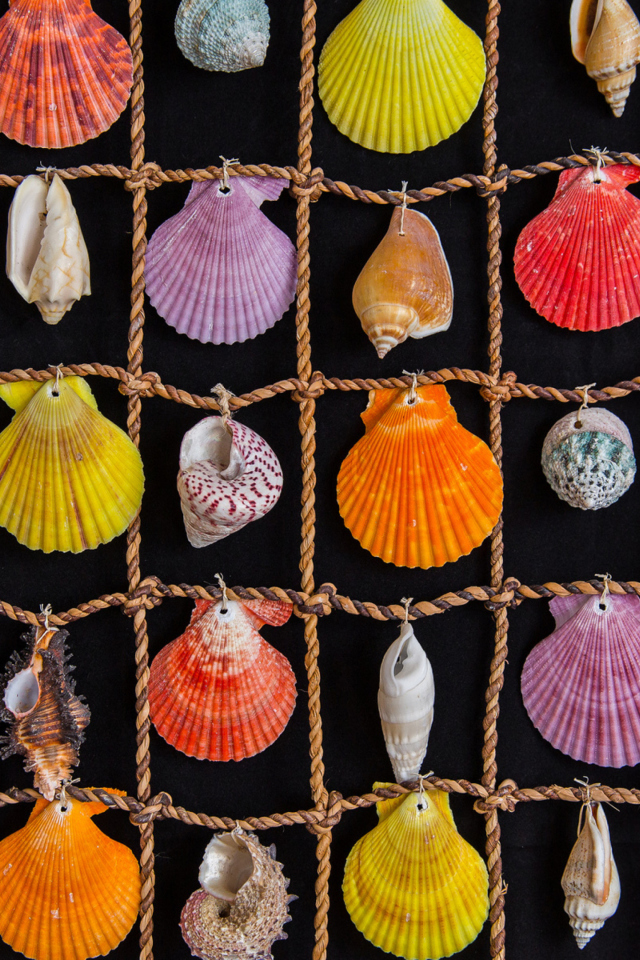 Seashells wallpaper 640x960