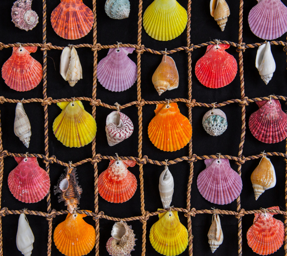 Das Seashells Wallpaper 960x854