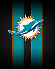 Miami Dolphins screenshot #1 176x220