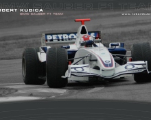 Das Robert Kubica - Formula1 Wallpaper 220x176