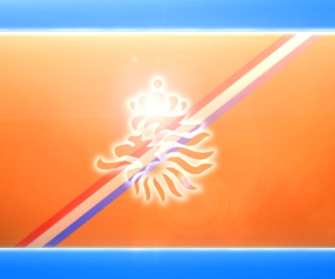 Das Netherlands National Football Team Wallpaper 480x400