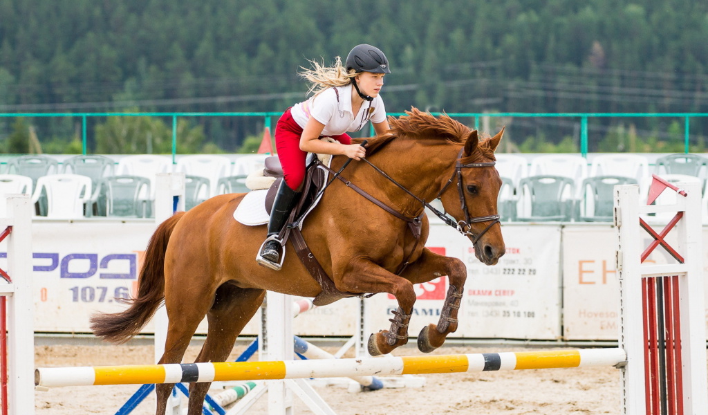 Equestrian Sport wallpaper 1024x600